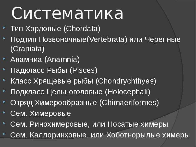 Систематический тип. Систематика хрящевых. Систематическое положение рыб. Хрящевые рыбы систематическое положение. Систематика рыб Тип Подтип Надкласс класс.