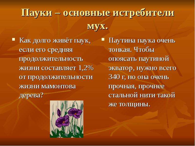 Презентация прогулка в лесу старшая группа