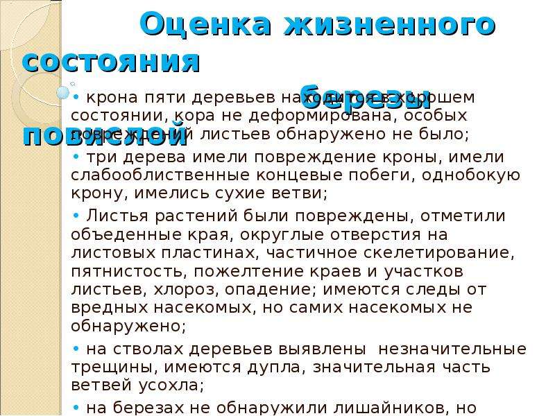 Жизненное состояние. Оценка жизненного состояния деревьев. Изучение состояния деревьев и кустарников на пришкольном участке. Изучение и состояние деревьев на пришкольном участке. Практическая работа изучение состояния деревьев.