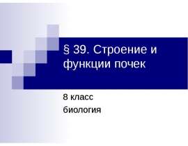 Строение и функции почек