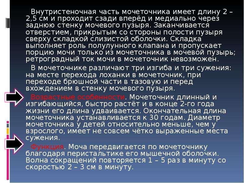 Заканчиваться отверстие. Внутристеночная часть. Части мочеточника брюшная тазовая внутристеночная. Внутристеночный отдел мочеточника. Внутристеночная часть латынь.