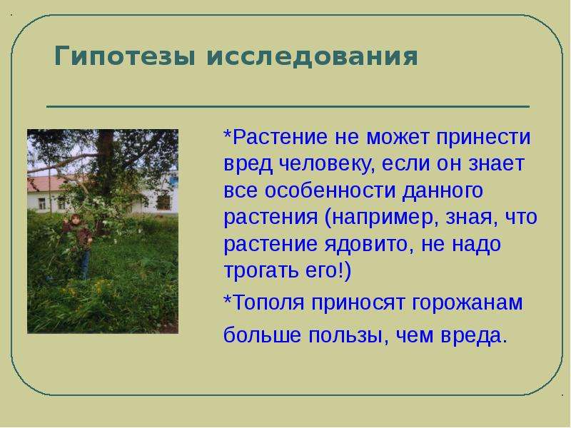 Какую пользу и вред приносят природные явления. Гипотеза о растениях. Польза тополя. Растения приносящие вред человеку. Тополь вред.