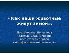 Как наши животные живут зимой