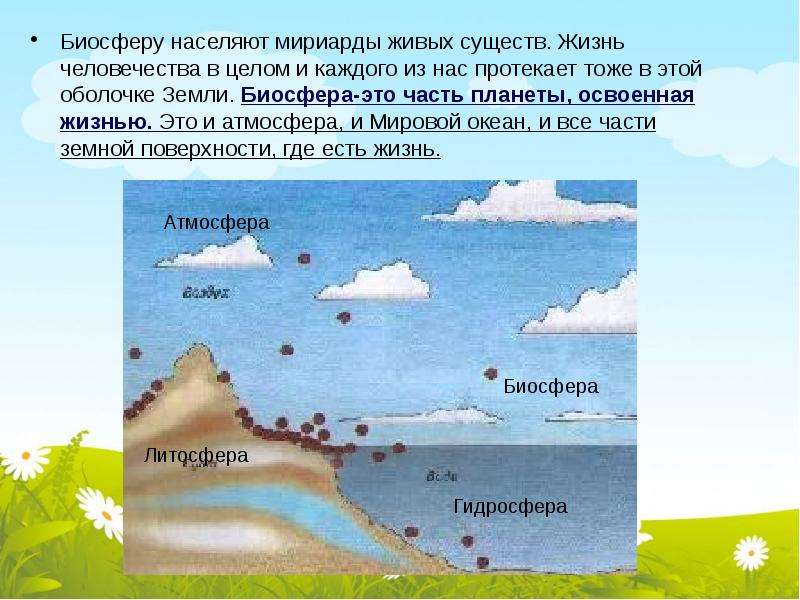 Биосфера 5. Что такое Биосфера 5 класс. Схема биосферы 5 класс. Биосфера 5 класс география. Презентация на тему Биосфера 5 класс.