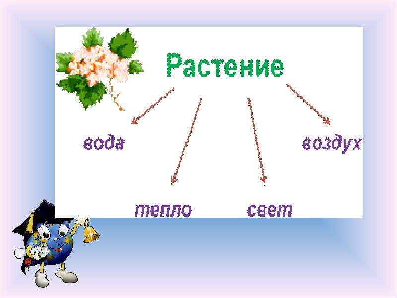 Как живут животные 1 класс. Как живут животные. Как живут животные презентация. Как живут животные 1 класс школа России.