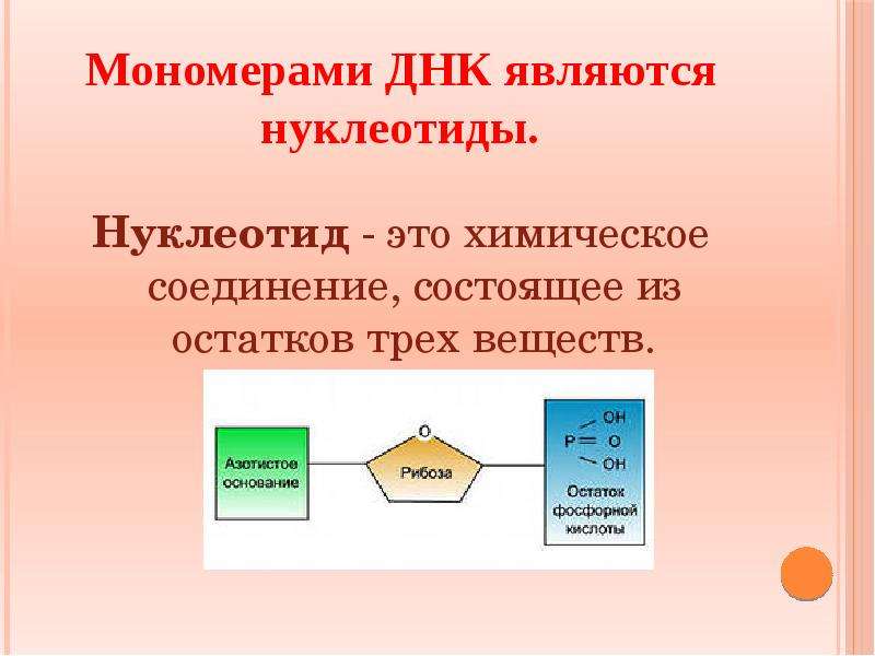 Строение какого мономера изображено на представленной схеме