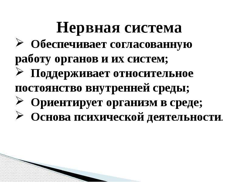 Схема значение нервной системы 8 класс