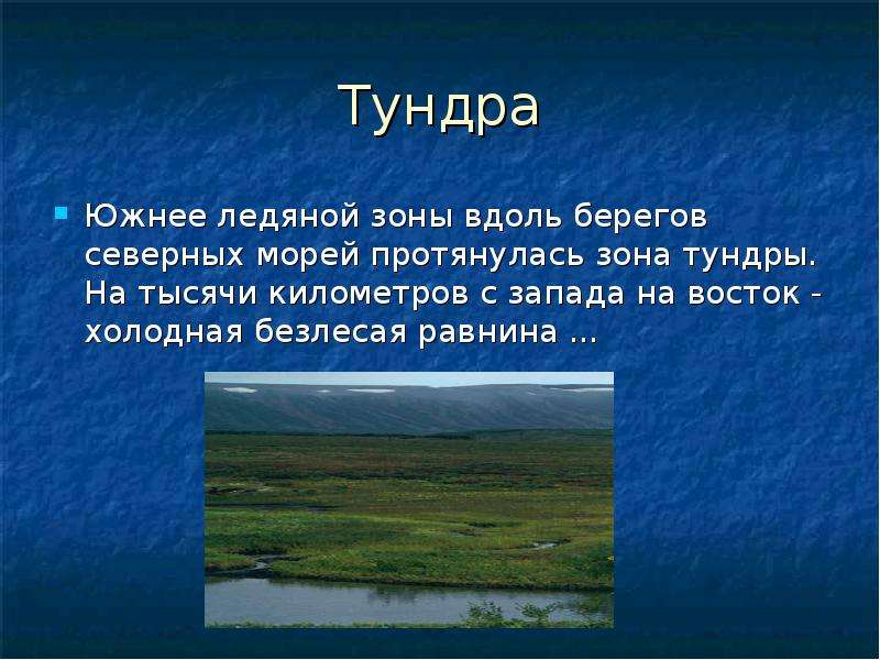 Зона тундр располагается на севере россии. Зона тундры. Зона тундры протянулась. Что южнее тундры. Южнее зоны тундры.