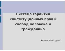 Система гарантий конституционных прав и свобод человека и гражданина