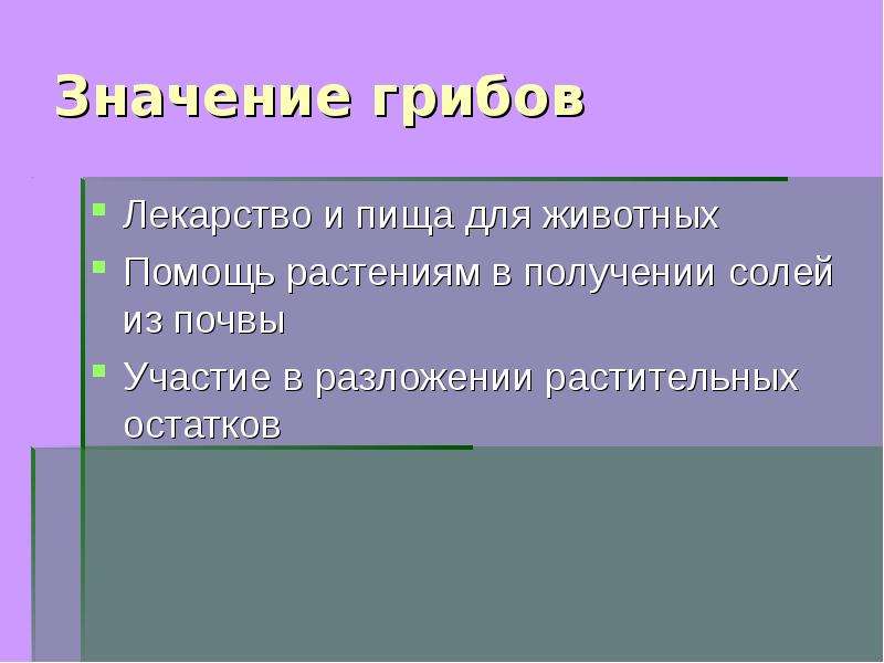 11 смысл. Значение грибов для животных. Значение грибов для леса. Какое значение для леса имеют грибы. Какое значение имеют грибы в природе.