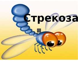 Стрекозы