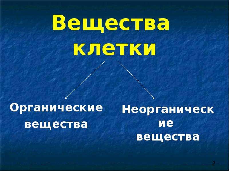 Органические клетки. Вещества клетки. Органические вещества клетки презентация. Органические вещества слайд презентации. Органические вещества клетк.