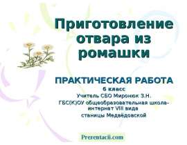 Скачать презентацию Приготовление отвара из ромашки