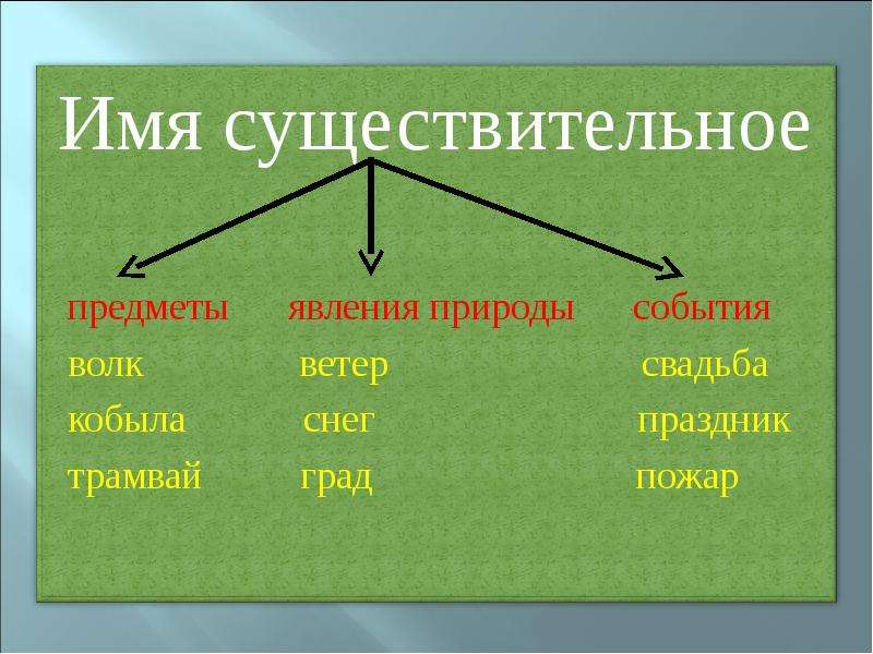 Существительное 6 класс презентация