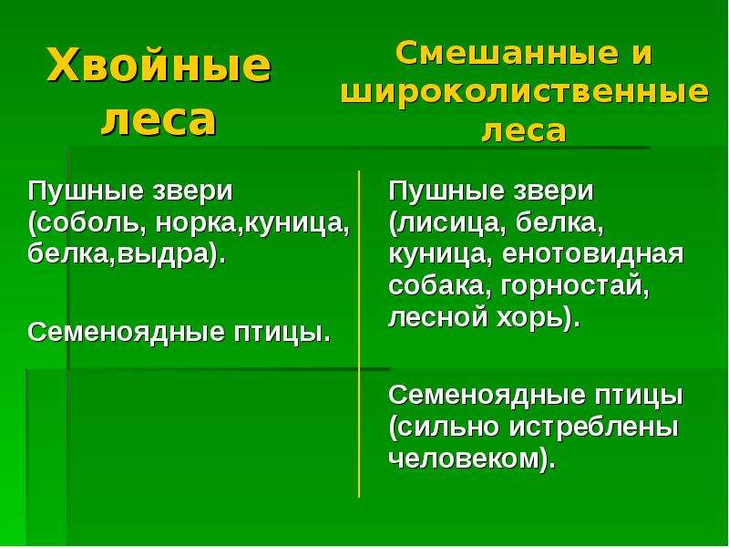 Описание смешанных лесов по плану 8 класс география