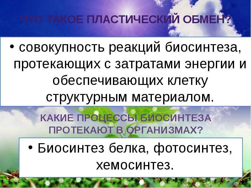 Совокупность реакций обмена. Совокупность реакций синтеза протекающих в организме. Пластический обмен фотосинтез. Совокупность всех реакций биологического синтеза. Пластический обмен Биосинтез фотосинтез.