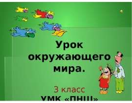 Значение леса (3 класс) УМК ПНШ