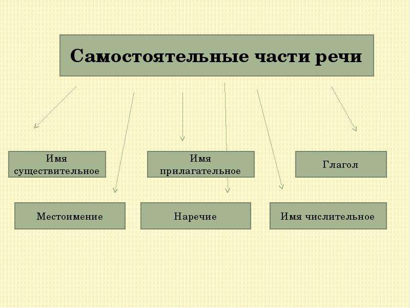 Самостоятельные части речи 5 класс презентация