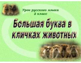 Большая буква в кличках животных 2 класс