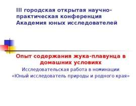 Опыт содержания жука-плавунца в домашних условиях