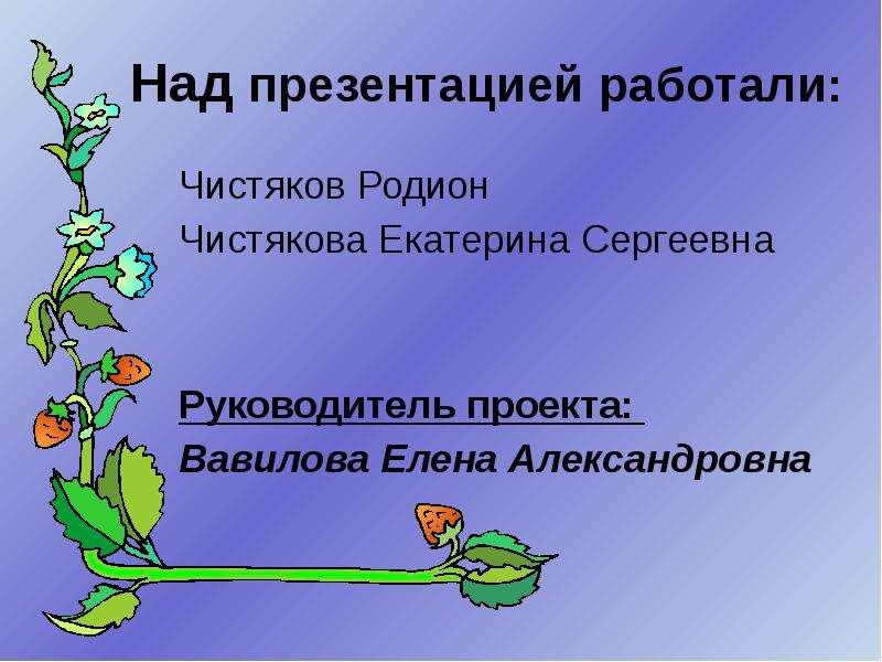 Над презентацией. Над презентацией работали. Над презентацией работал красиво. Проект 3 класс фамилия Чистякова.