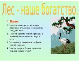 Лес - наше богатство