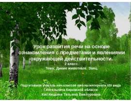 Дикие животные. Заяц
