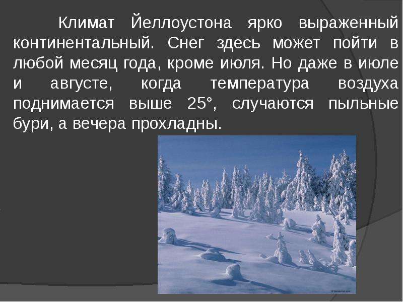 Здесь снег. Йеллоустонский национальный парк презентация. Снежный Покров в континентальном климате.