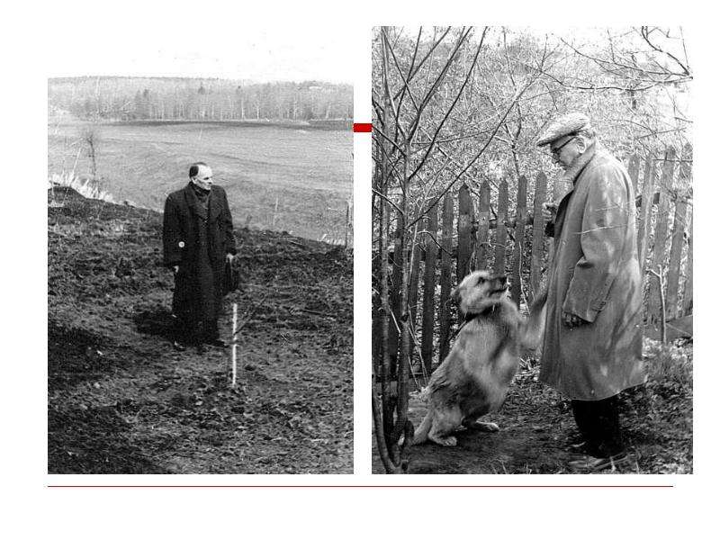 Фотографии паустовского в детстве