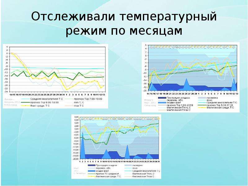 Проект дачный участок как экосистема