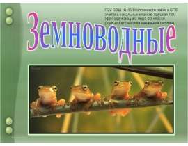 Земноводные