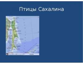 Птицы Сахалина