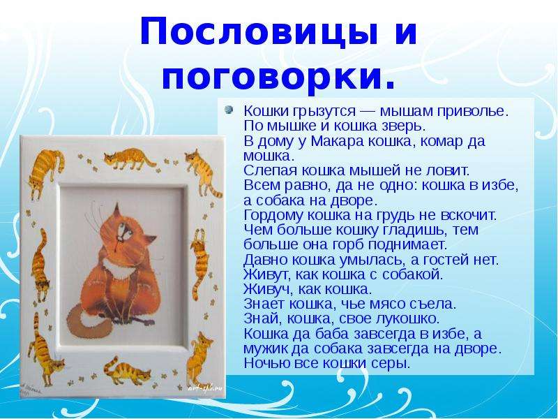 Кошка кошка кошка равно. Пословица про кошку и мышей. Пословицы про мышей. Пословицы о коте. Поговорки про мышей.