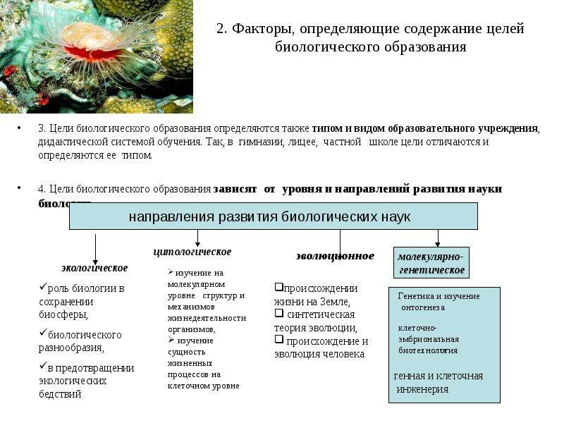 Содержание целый. Цели биологического образования. Факторы определяющие содержание. Факторы определяющие содержание образования. Факторы содержания образования.