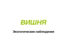 Вишня