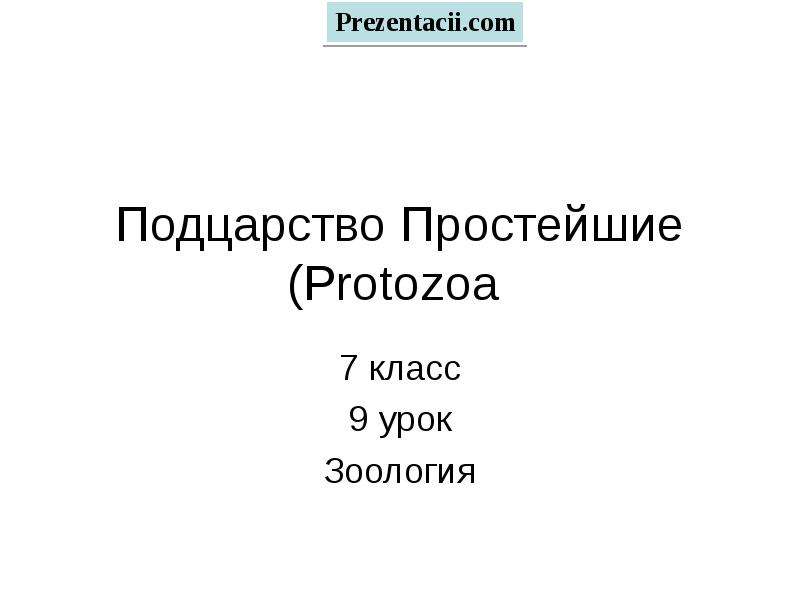 Простейшие 9 класс. Клас собака Подцарство. Кроссворд Подцарство простейшие.