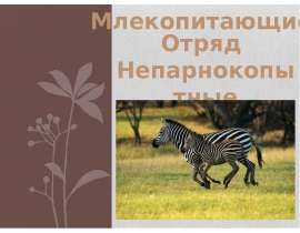 Непарнокопытные
