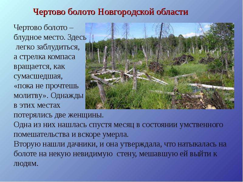 Новгородские болота. Чертово болото Новгородской области на карте. Чертово болото Новгородской. Аномальные зоны болота. Аномальные зоны России Чертово кладбище.