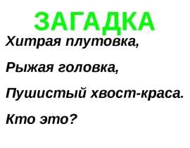 ЗАГАДКА "Лисица"