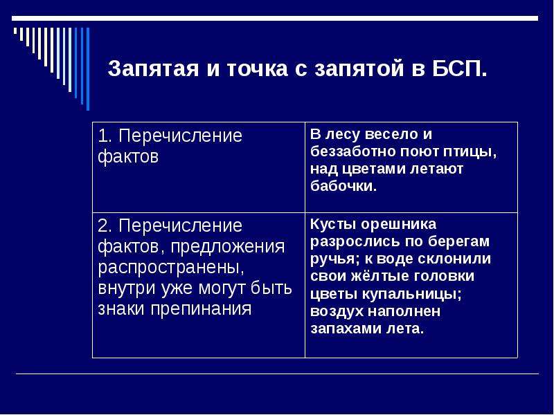 Проект точка с запятой