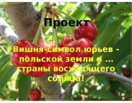 Вишня-символ юрьев - польской земли и … страны восходящего солнца!