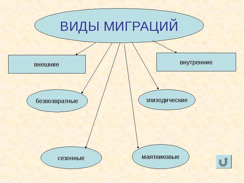 Схема миграции населения