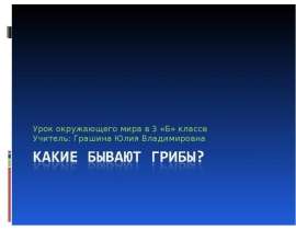 Какие бывают грибы? 3 класс