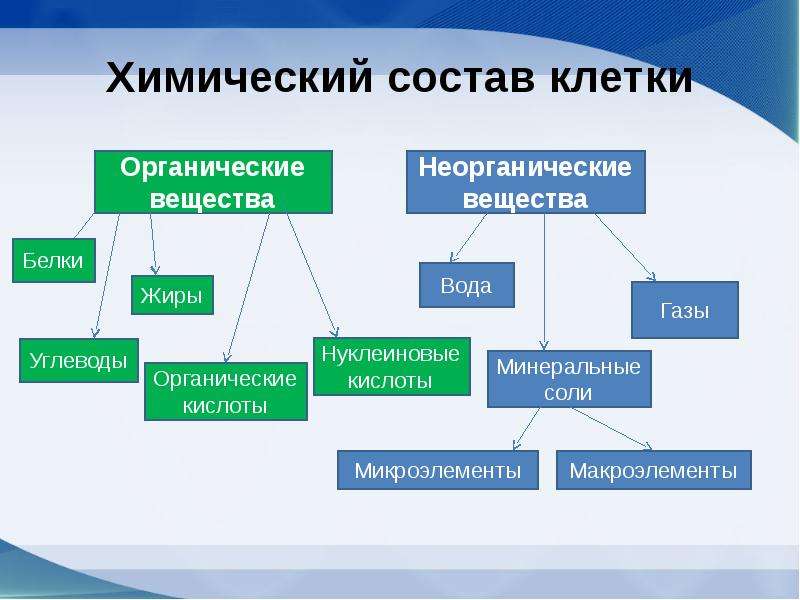 Что входит в изображение