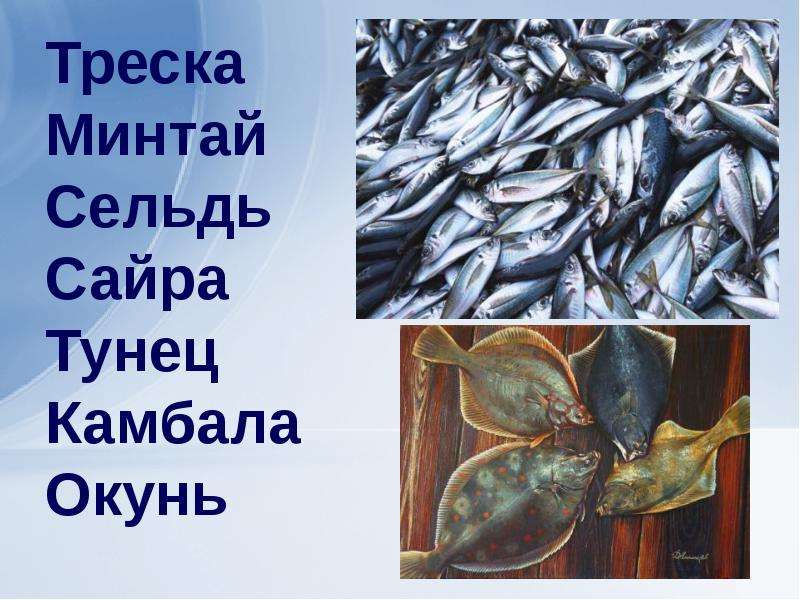 Рыбное хозяйство, слайд 14