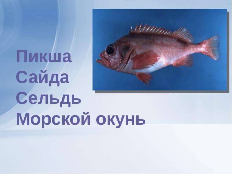 Рыбное хозяйство, слайд 16