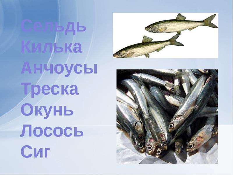 Рыбное хозяйство, слайд 18