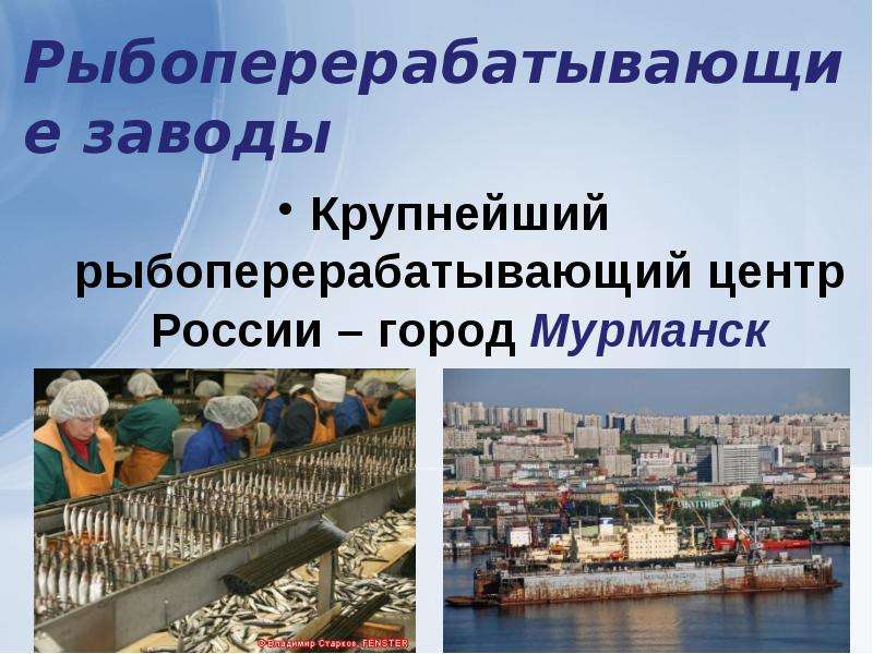 Рыбоперерабатывающие заводы Крупнейший рыбоперерабатывающий центр России – город Мурманск