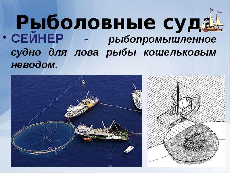 Рыболовные суда СЕЙНЕР - рыбопромышленное судно для лова рыбы кошельковым неводом.