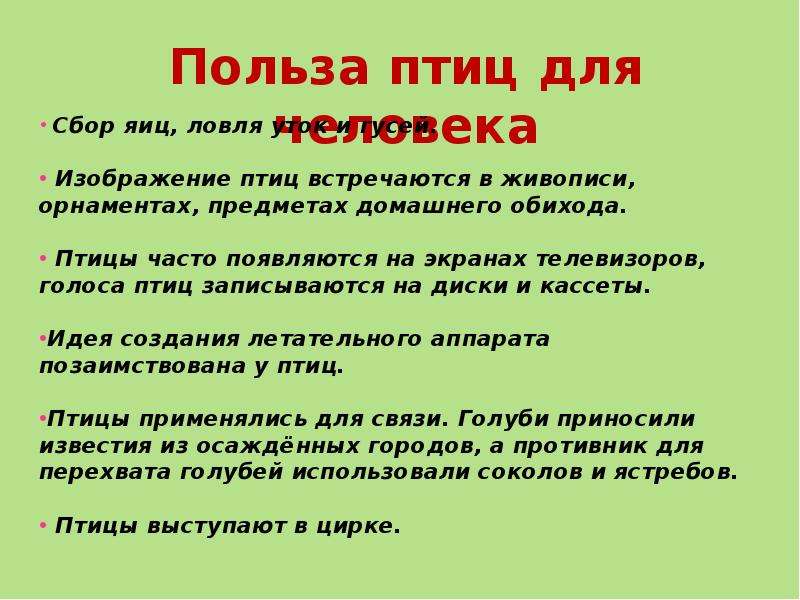 Основная польза. Польза птиц для человека. Какую пользу приносят птицы человеку. Птицы. Польза и вред птиц.. Польза от птиц для человека и природы.